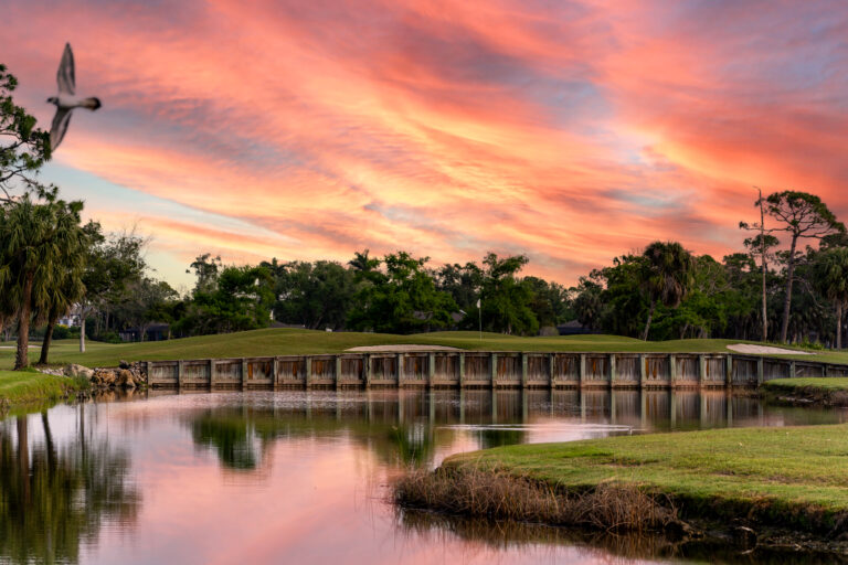 photo session golf and tennis march 2024