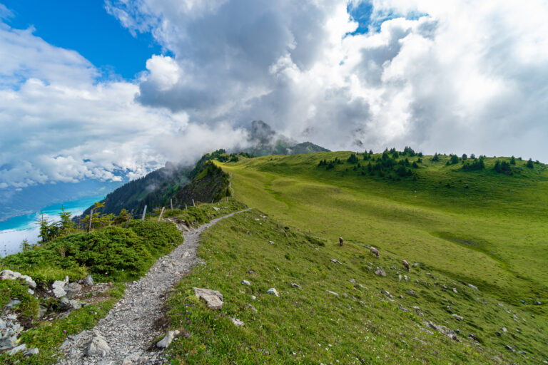 powerhouse 4th of july 2022